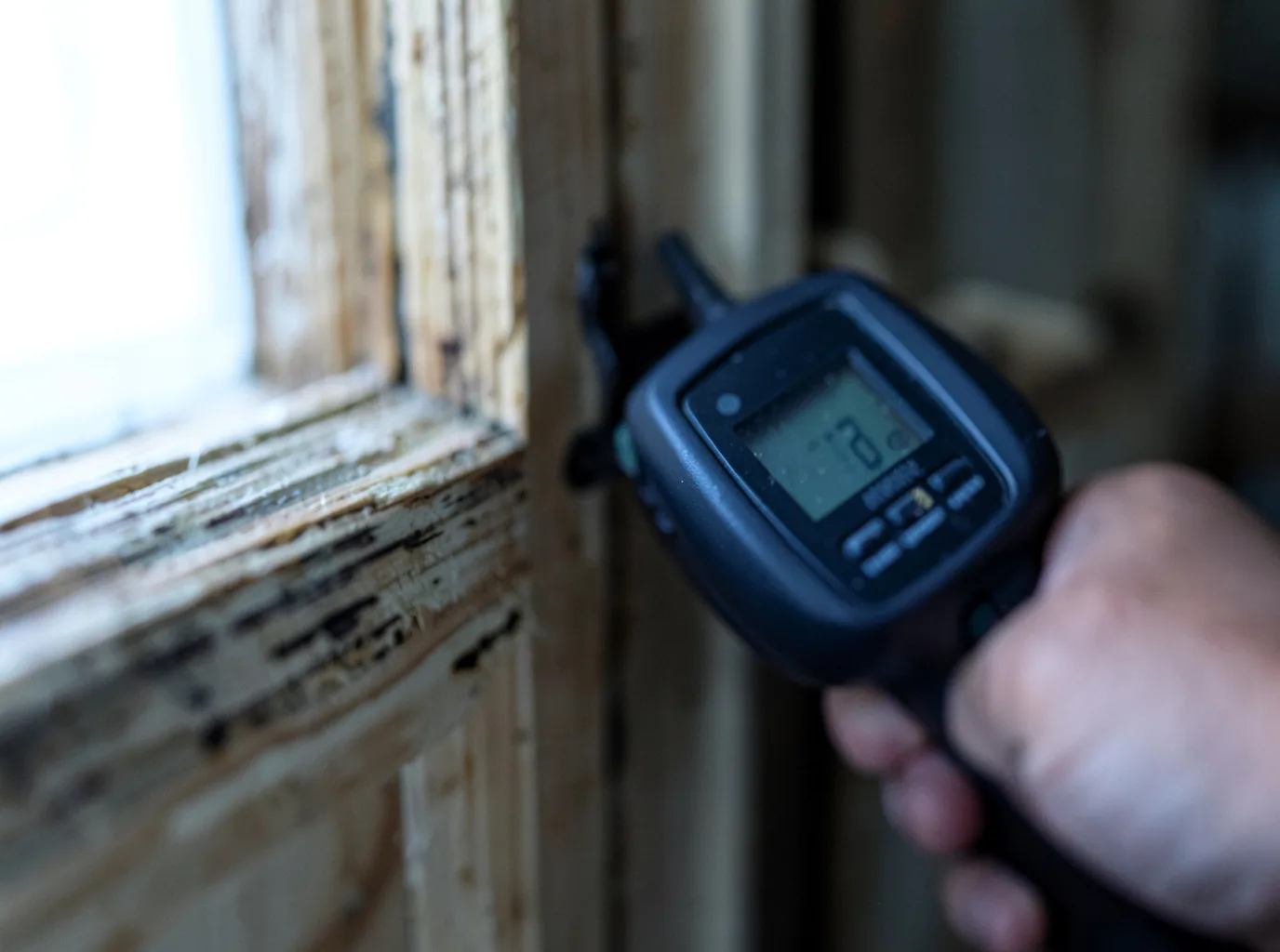 Moisture Inspection And Documentation in Pricedale, PA